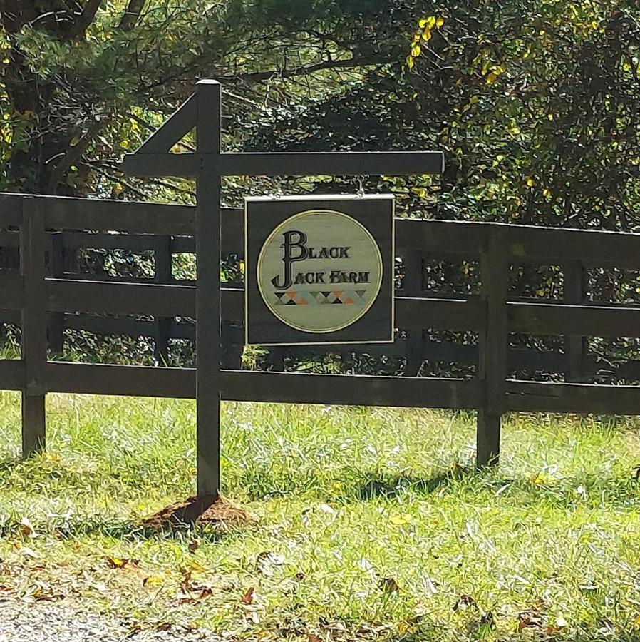 Rustic Hendersonville Farm Studio With Private Deck Ngoại thất bức ảnh