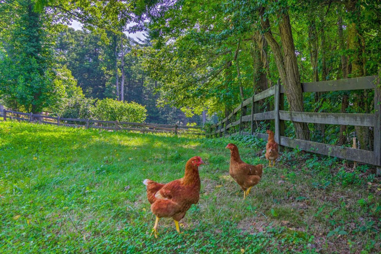 Rustic Hendersonville Farm Studio With Private Deck Ngoại thất bức ảnh